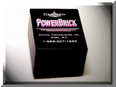 brick.gif (22677 bytes)
