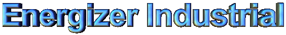 enrgizr.gif (16070 bytes)